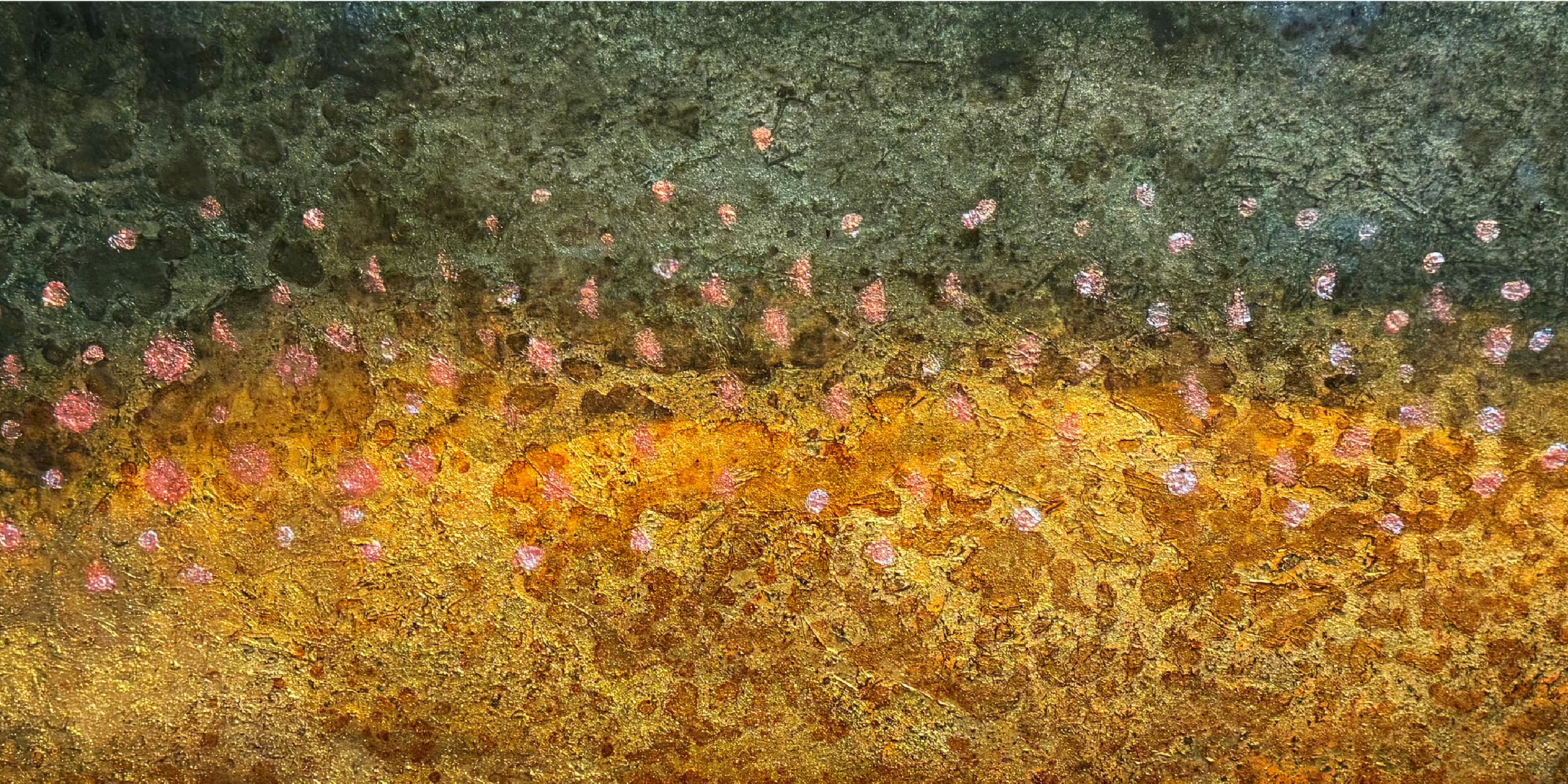 Arctic Char